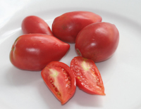 Russian tomato